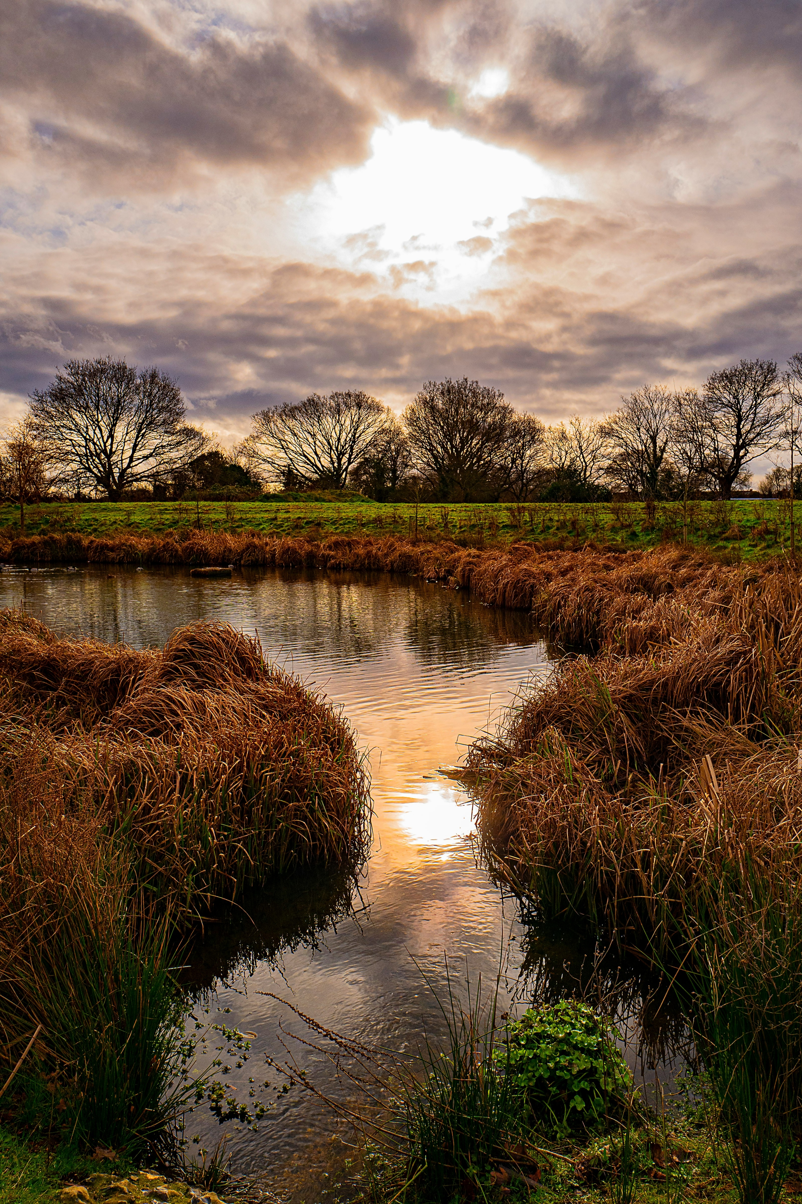 Wetlands & Waterfowl Conservation