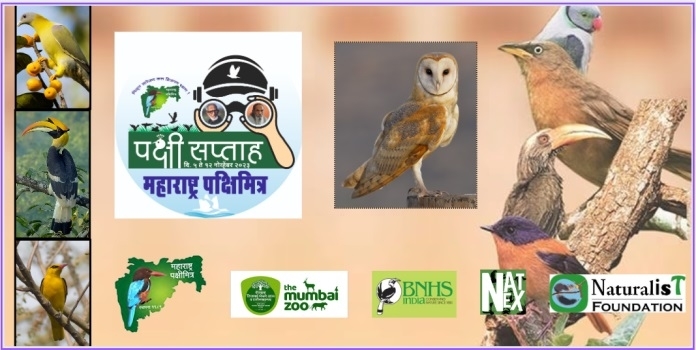 Bird lovers celebrate Bird Week