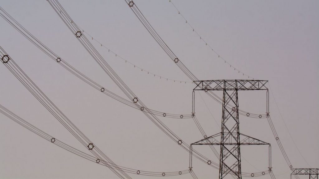 Bird diverters added to the electric lines to protect birds.