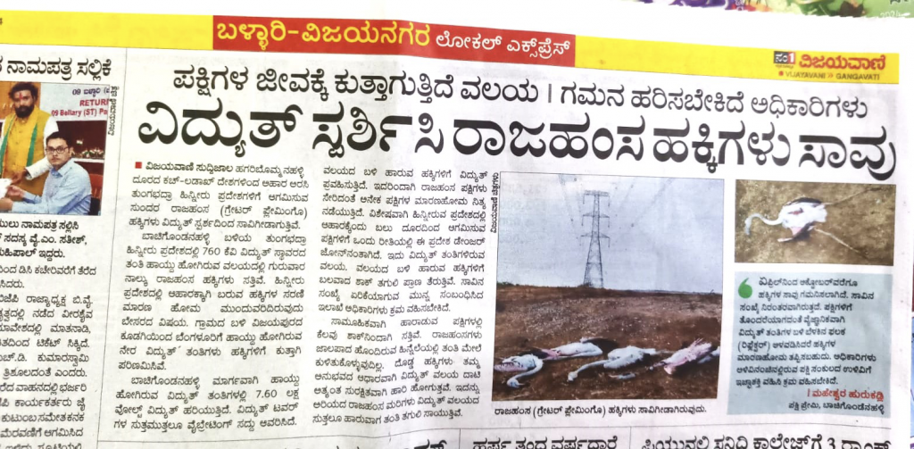 GreenHbH highlighted the incidence of flamingo deaths due to electrocution in local newspapers.